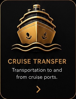 Cruise Transfer