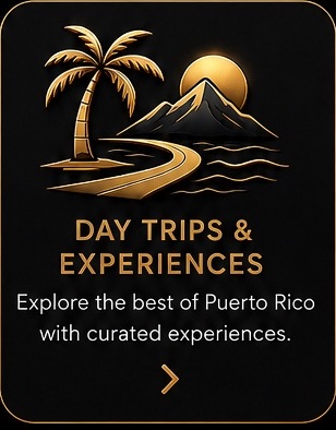 Day Trips and Experiences